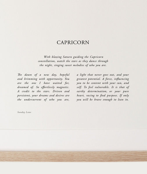 Capricorn 04