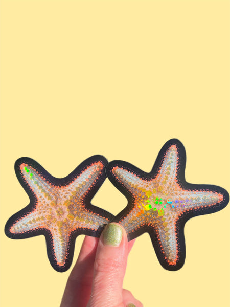 Starfish Sticker