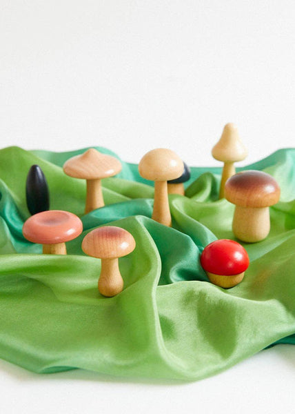 Wooden Mushroom Set