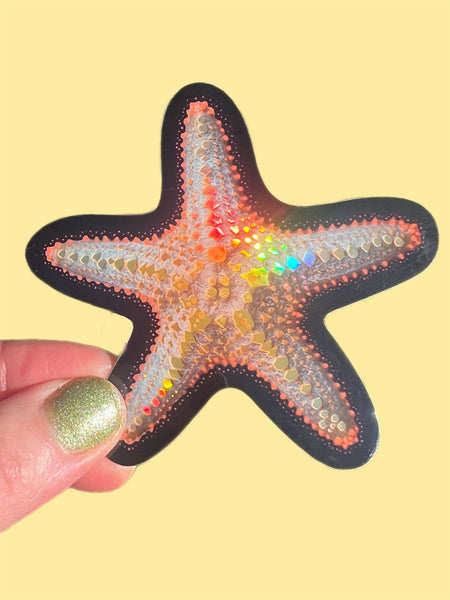 Starfish Sticker