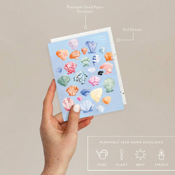 Shells Card