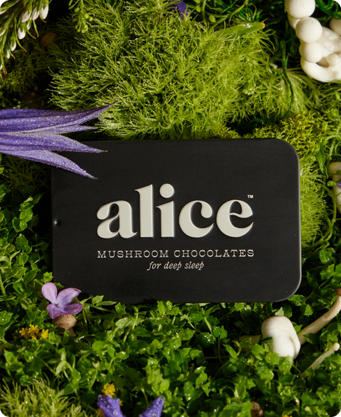 Nightcap — mushroom chocolate supplement for deep sleep