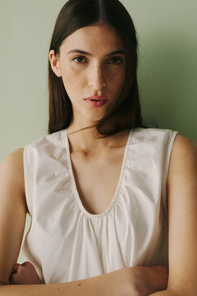 Meadow Line Poplin Dress