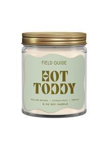 Hot Toddy Soy Candle