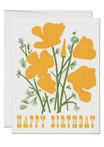 California Poppy Birthday Card