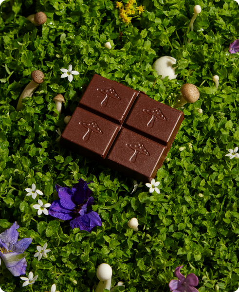 Nightcap — mushroom chocolate supplement for deep sleep