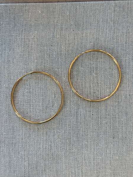 Dainty Hoops