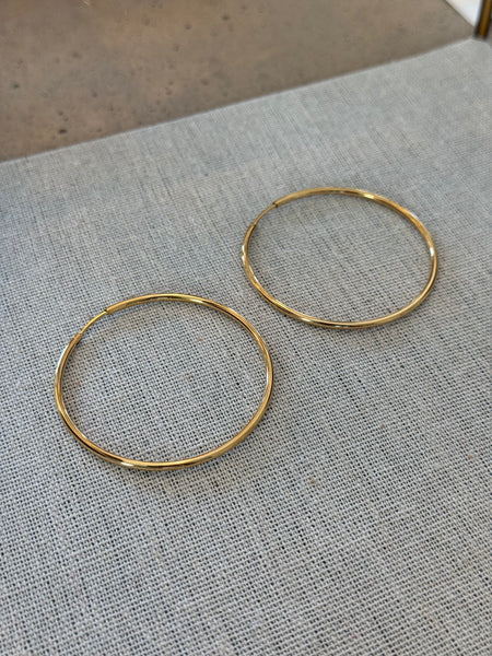Dainty Hoops