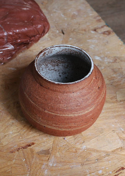 Wild Clay Vase