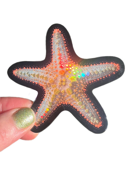 Starfish Sticker