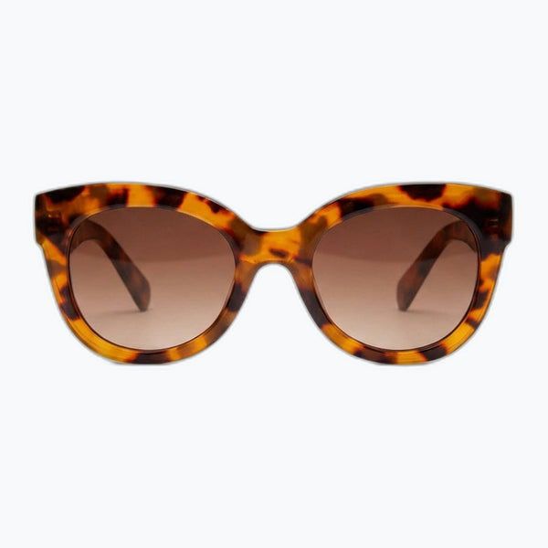 Solstice - Tortoise Polarized Sunglasses