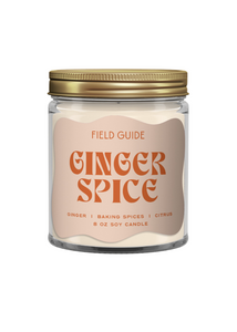 Ginger Spice Soy Candle