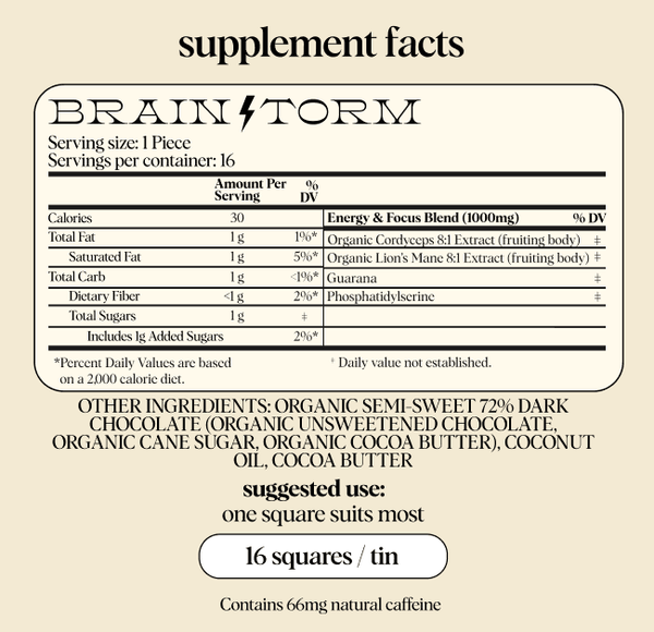 Brainstorm — mushroom chocolate supplement for focus