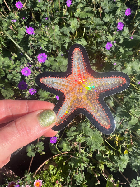 Starfish Sticker