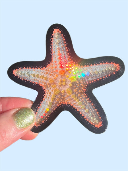 Starfish Sticker